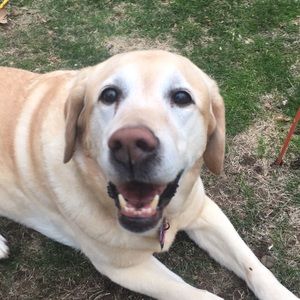 Meet your Posher, Wendy